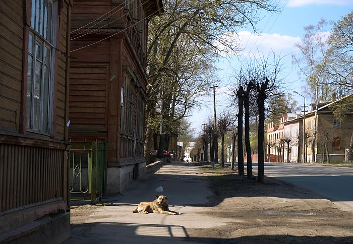 Город Гатчина