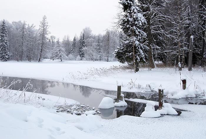 Город Гатчина