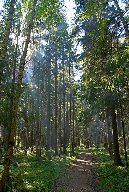 Город Гатчина