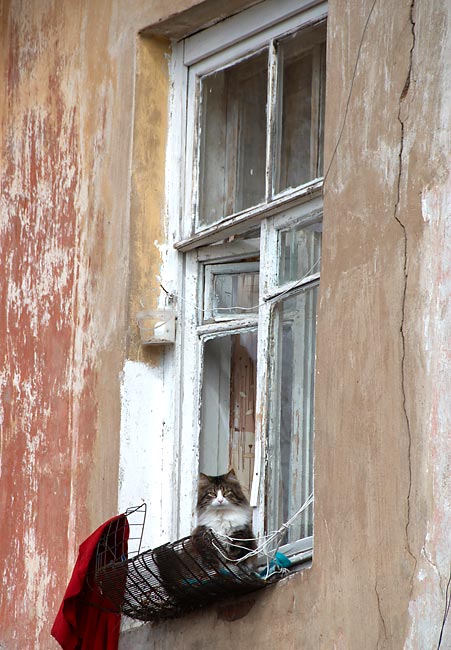 Город Гатчина