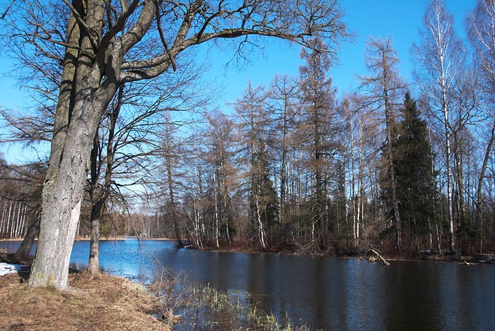 Город Гатчина