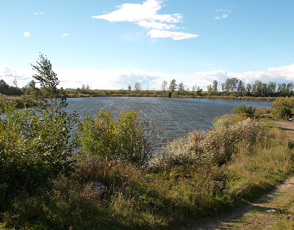 Канонерский остров