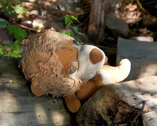 Канонерский остров