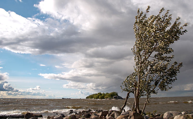 Канонерский остров