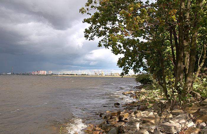 Канонерский остров