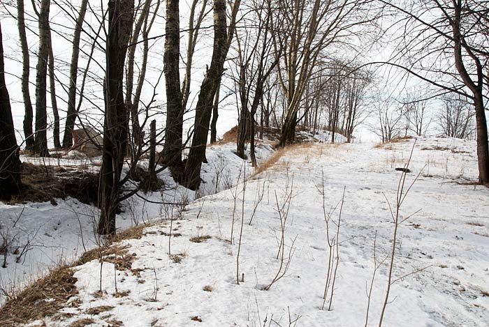 Канонерский остров