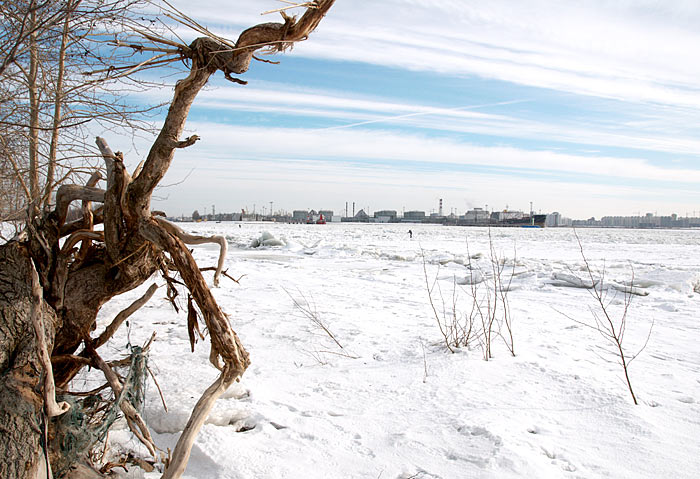 Канонерский остров