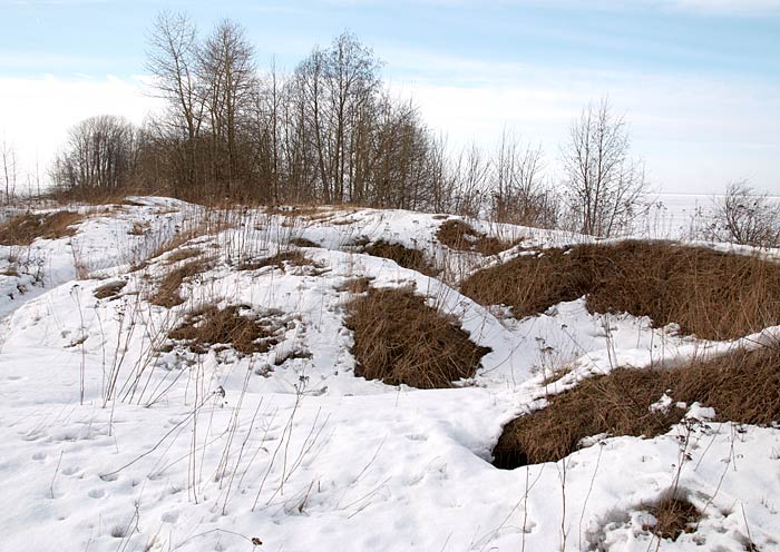 Канонерский остров