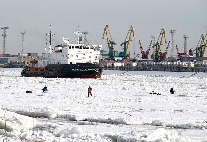 Канонерский остров