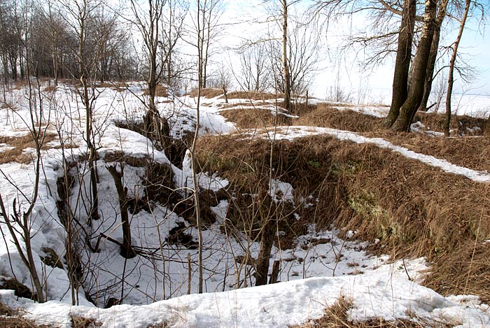 Канонерский остров