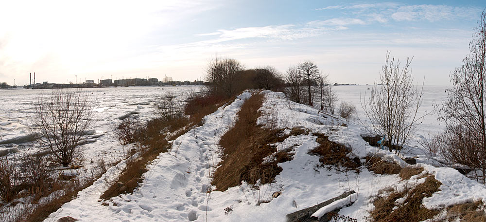 Канонерский остров