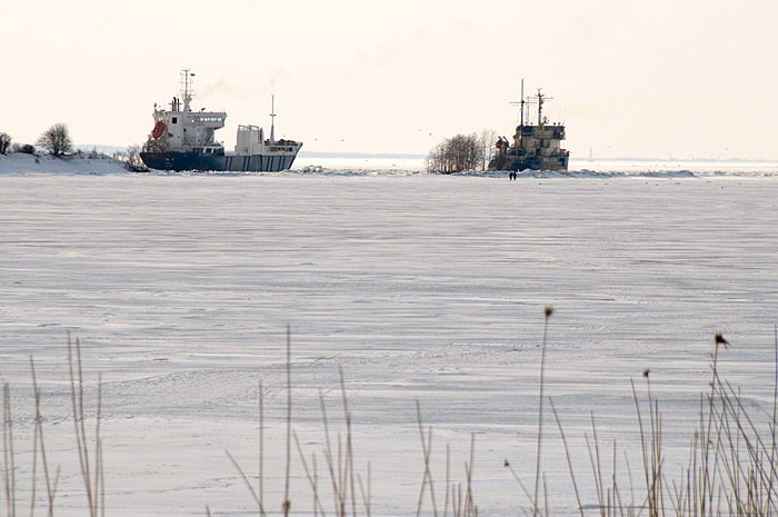 Канонерский остров