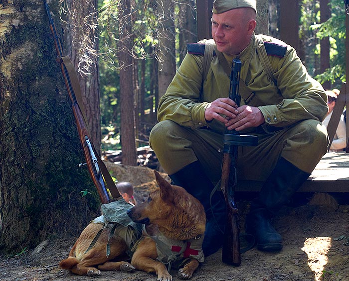 Название галереи