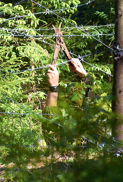 Название галереи