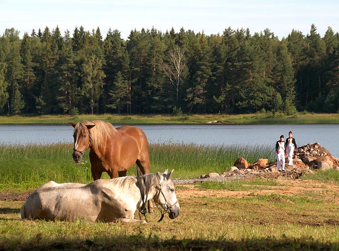 Бой у Клястиц в 1812 году