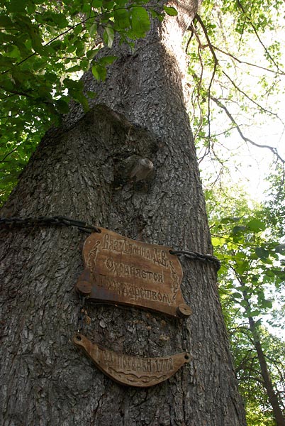 Бой у Клястиц в 1812 году