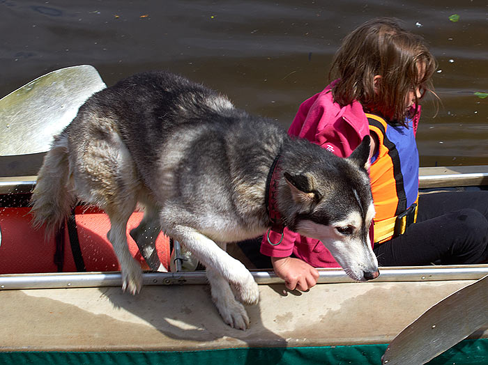 Петровский гребной марафон