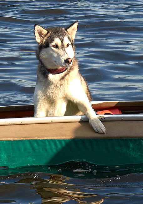 Петровский гребной марафон