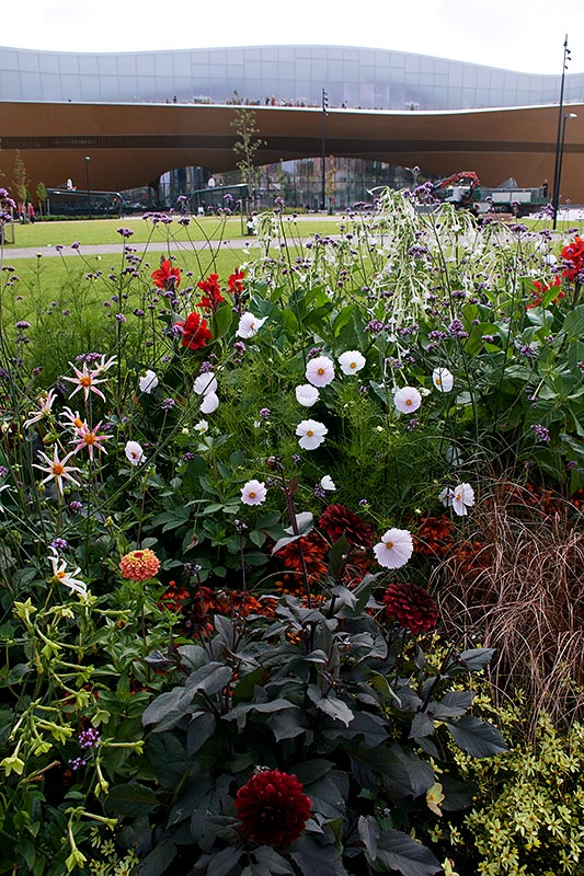 Oodi - Центральная библиотека Хельсинки