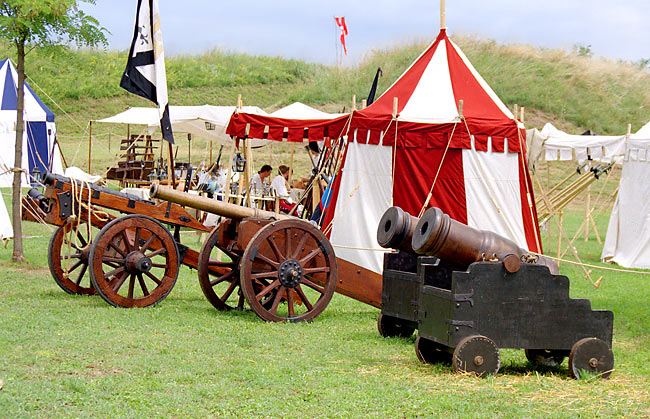 Пальманова. День города