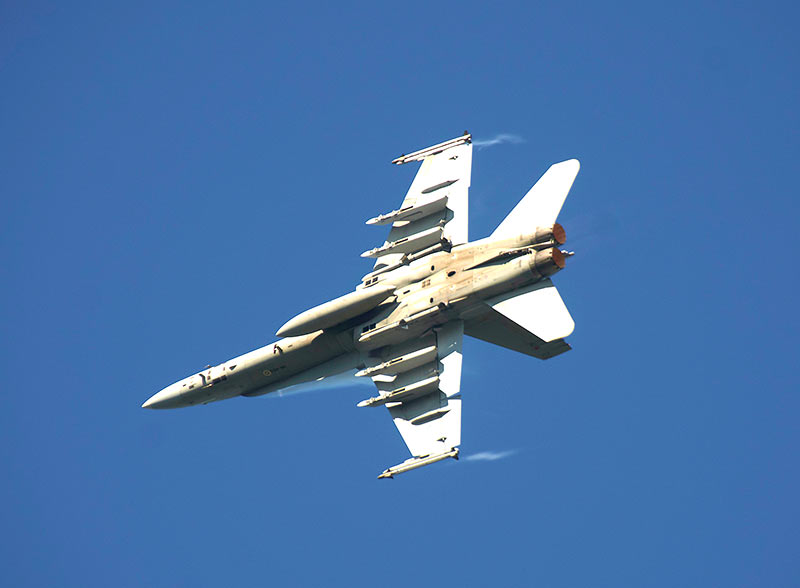 Фестиваль в Парола