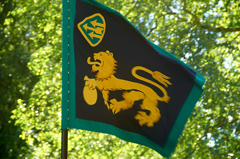 Фестиваль в Парола