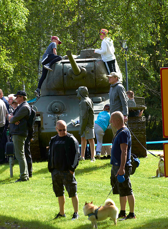 Фестиваль в Парола