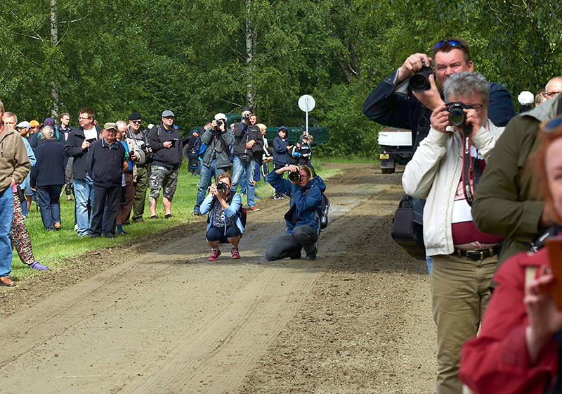 Фестиваль в Парола