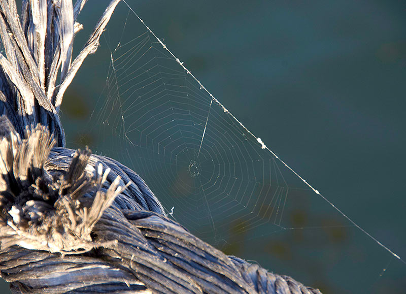 Парусники в Хельсинки