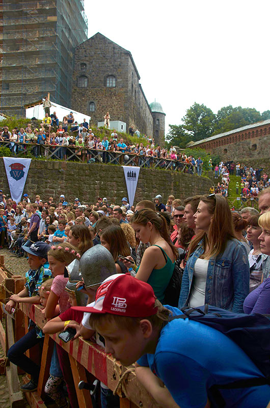 Рыцарский замок 2017