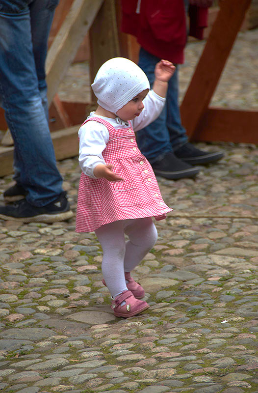 Рыцарский замок 2017