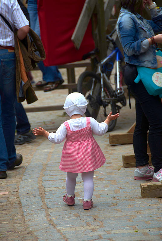 Рыцарский замок 2017