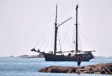 ������ 2014