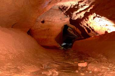 ������ � �����������