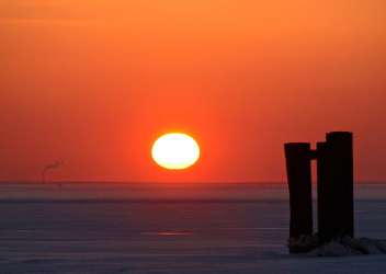 ������� ����� ��� VI