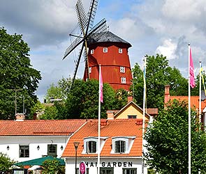 �������� ��������: ���������