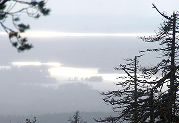 ���� ���������